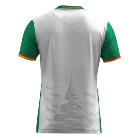 Cameroun Tredje 2025 - Fodboldtrøjer (S/S)